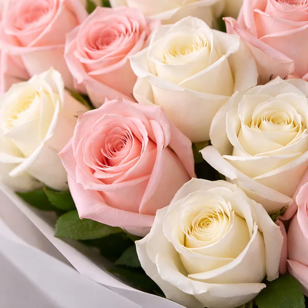 Амур – букет из высоких кремовых и розовых роз (70 см)